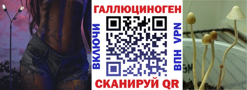 Галлюциногенные грибы Cubensis  Североморск 